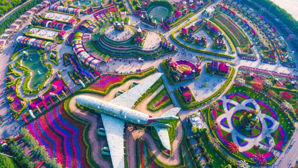 Miracle Garden