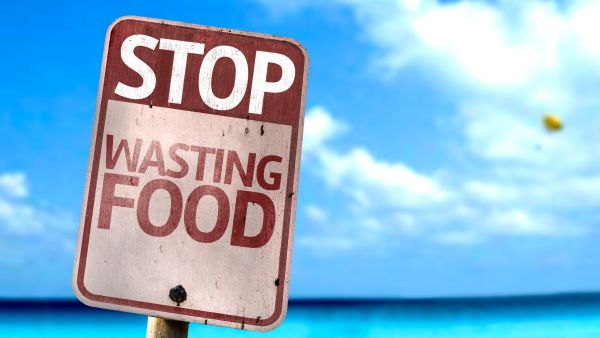 No food waste 