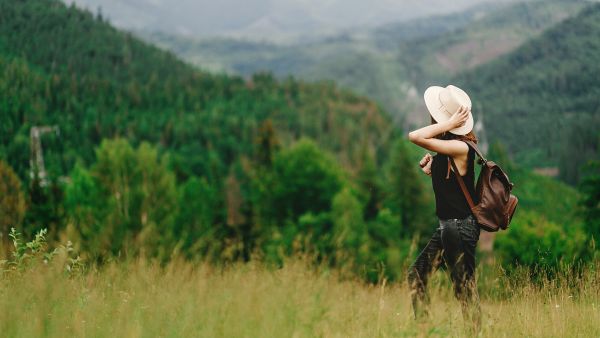 Into the wild 