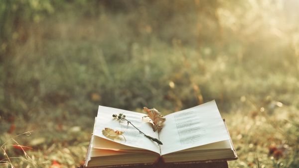 Book review 