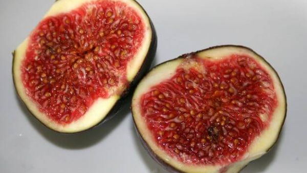 تفسير حلم أكل التين في المنام