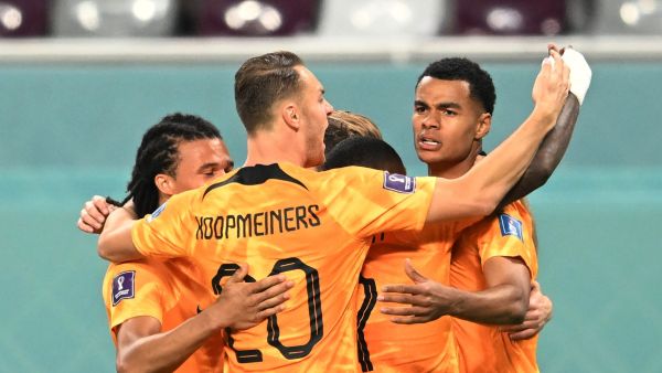 Netherlands' forward #08 Cody Gakpo (R) celebrates with teammates after scoring his team's first goal during the Qatar 2022 World Cup Group A football match between the Netherlands and Ecuador at the Khalifa International Stadium in Doha on November 25, 2022. (Photo by Raul ARBOLEDA / AFP)