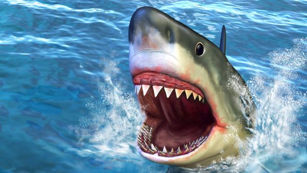 Killer shark