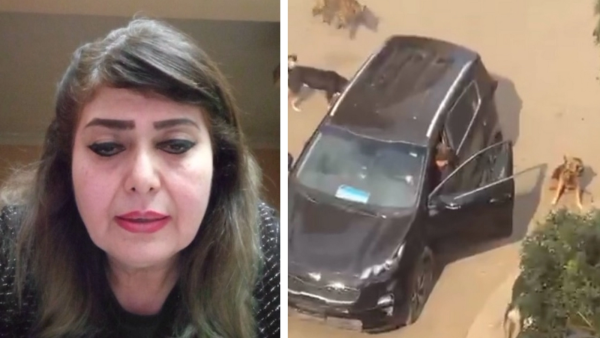 هندية