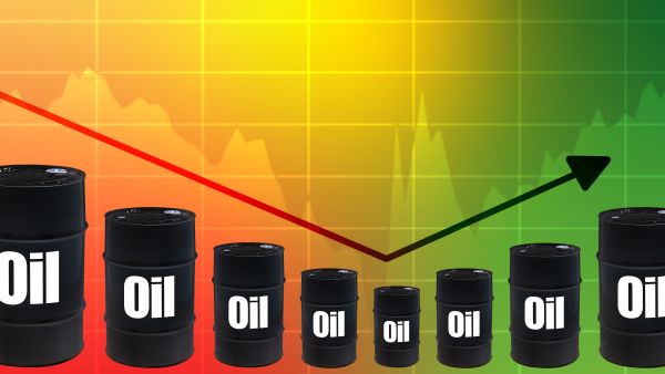 Oil rebounds