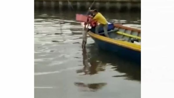 تمساح يوصل جثة طفل الى عائلته
