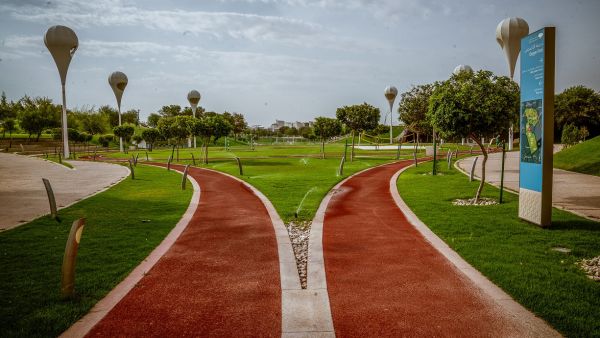 Community members of all abilities and ages invited to join National Sport Day celebrations Try-a-Tri at Qatar Foundation’s Sport Day Activities