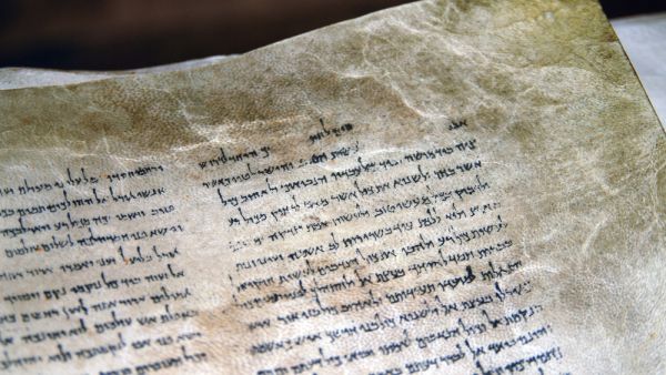 Esther scrolls