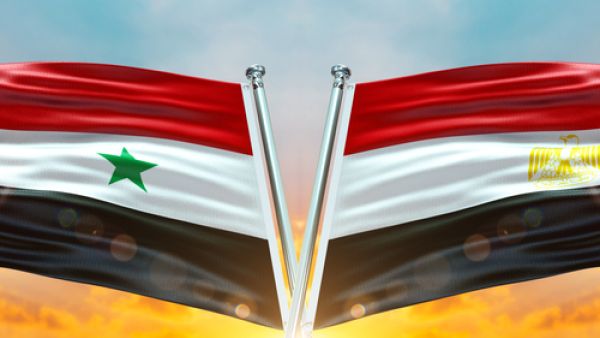 Shutterstock  Egyptian foreign minister