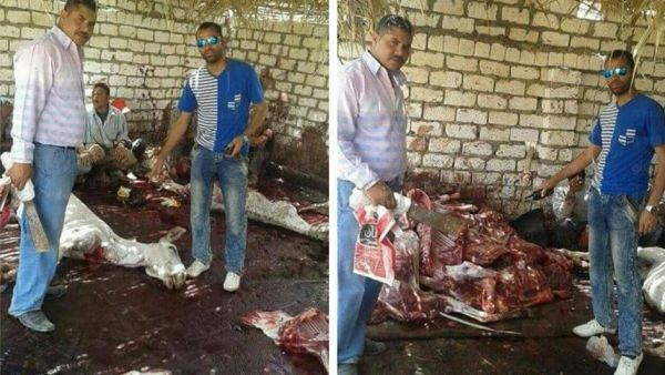 مباحث القيوم بمصر تضبط 30 حمار مذبوحا قبل بيعهم لمحلات الكباب والكفتة في وقت سابق