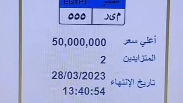 شخصان فقط قاما بالمزايدة على اللوحة الأغلى في مصر