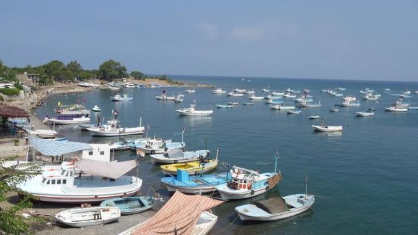 ميناء رأس البسيط السوري