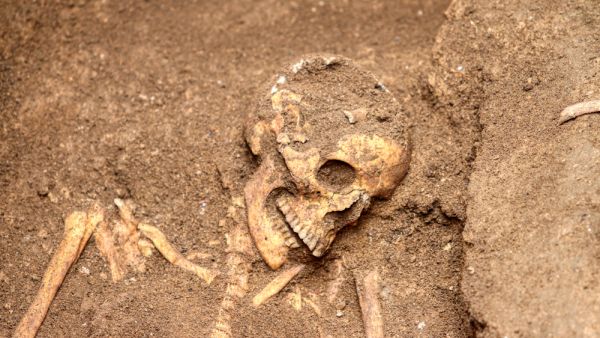 Roman burial unearthed in hidden Garforth cemetery
