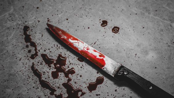 Two schoolgirls kill 12-year-old girl in Germany