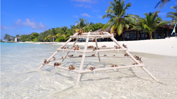 Sheraton Maldives full moon resort & spa makes waves in sustainability