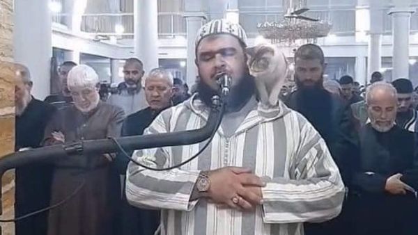 قطة تتسلق جسد الامام الجزائري علي مهساس 