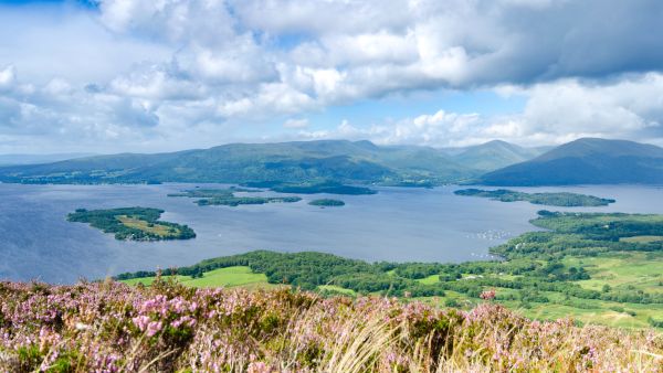 Scottish island is up for sale at over $186,000