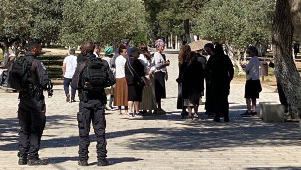 باحات المسجد الأقصى