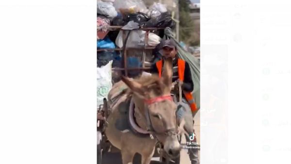 المعاملة السلبية تتحول الى تقدير واحترام بعد ان يعرفو انه خريج تخصص لغة انجليزية وبتقدير مشرف .