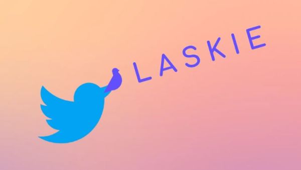 إيلون ماسك