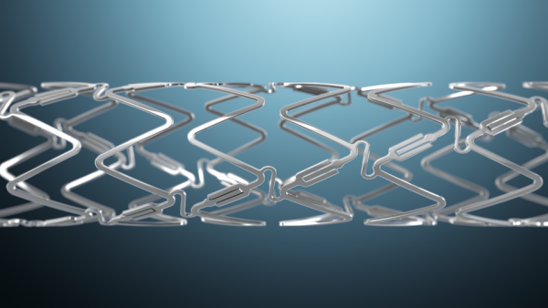 Clinical data demonstrates DynamX Bioadaptor restores Vessel Motion and Function with better effectiveness at 12 Months compared to a leading Drug-Eluting Stent (DES)