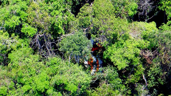 4 children found alive after plane crash in Amazon