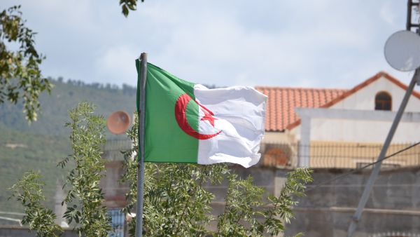 علم الجزائر