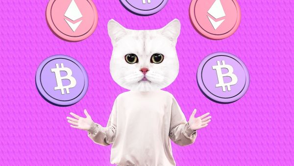 What are CryptoKitties and How to Breed Your Own?