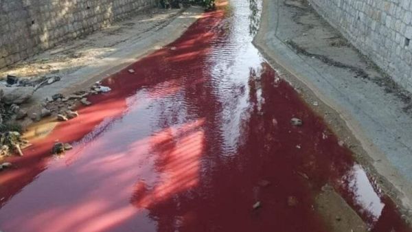 وشهدت العاصمة السورية مؤخرا امطار غزيرة ، حالها حال عدة مناطق في بلاد الشام في وقت نادر هطول الامطار فيه .