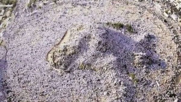 اطول نهار على صعيد عرفات منذ 33 سنة