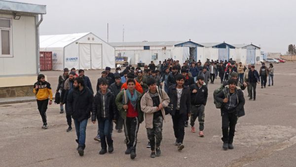 Afghan immigrants in Herat