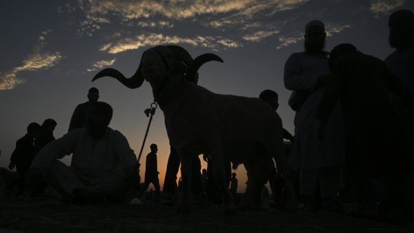 Eid al-Adha