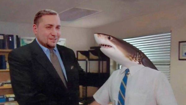 سياسي اميركي يبارك قتل سائح روسي