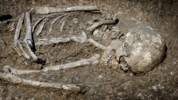 our ancient human ancestors