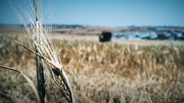 القوات الروسية استخدمت صواريخ كاليبر كروز من البحر الأسود على ارتفاع منخفض 