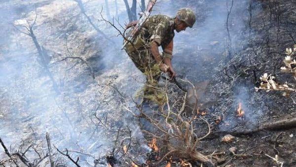 الجيش يشارك في اطفاء الحرائق- الصورة عن تويتر