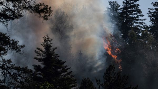 forest fire