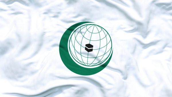 وزراء خارجية دول التعاون الإسلامي سيجتمعون الإثنين المقبل افتراضيا لبحث الإساءة للقرآن