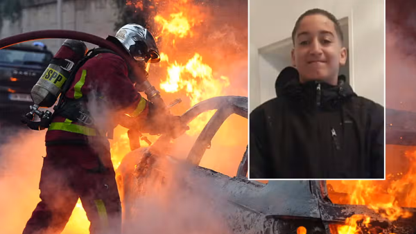 نائل المرزوقي 