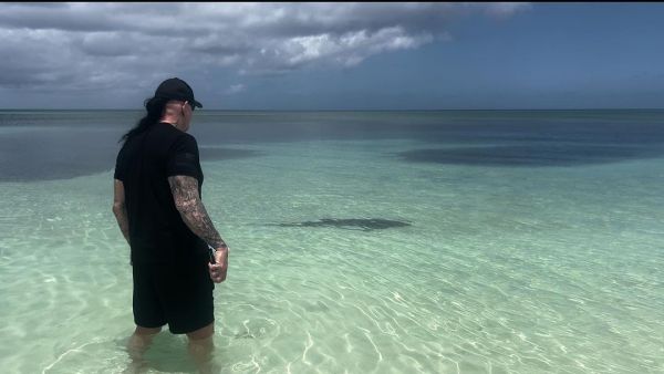 The Undertaker