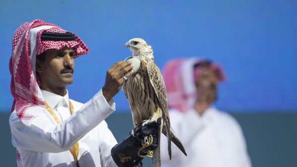 مزاد علني - نادي الصقور السعودي