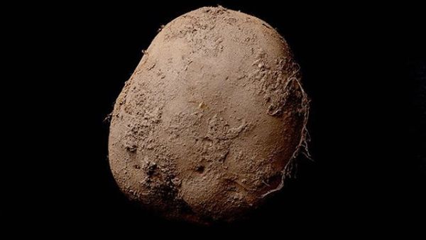 Potato sold for $1m