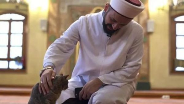 الإمام "مصطفى إيفي" يداعب قطة داخل المسجد