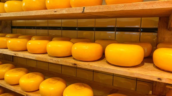 cheese