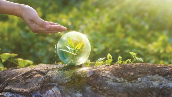Axis Communications Sustainability Report showcases commitment to sustainable business practices