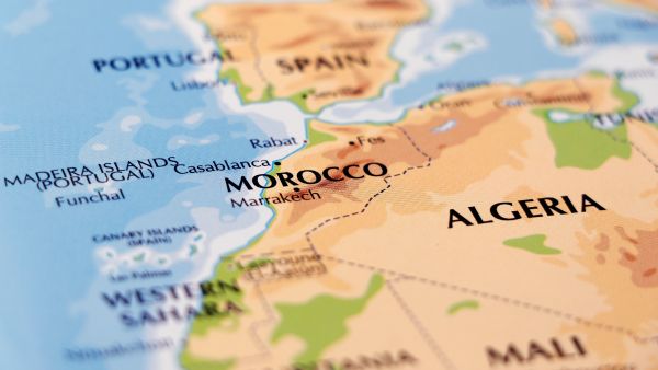 قالت الرئاسة الجزائريةإنها مستعدة لتقديم كل إمكانياتها المادية والبشرية تضامنا مع الشعب المغربي الشقيق