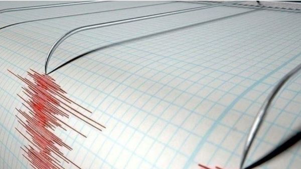 زلال في تونس واخر في مصر وثالث قباله سواحل ليبيا