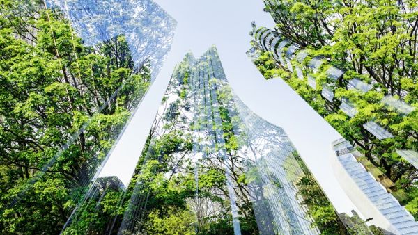 Schneider Electric’s new research shows that digital and electric solutions can cut carbon emissions in office buildings by up to 70%