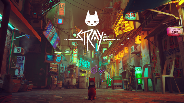 Stray