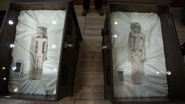 Alien Remains